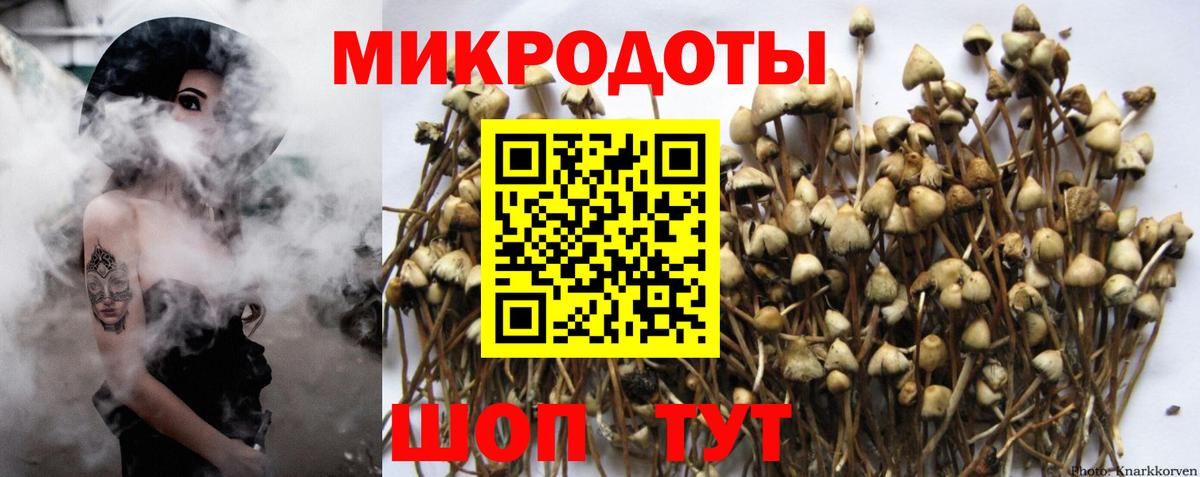 Галлюциногенные грибы мицелий Кудымкар