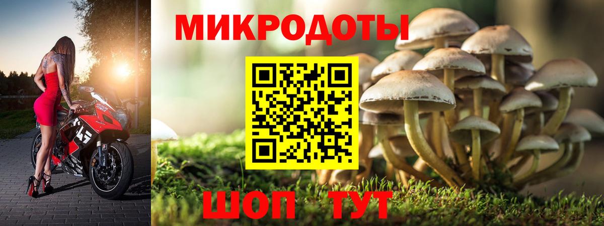 Псилоцибиновые грибы мицелий  Псилоцибиновые грибы Magic Shrooms  Вход с VPN  Кудымкар 